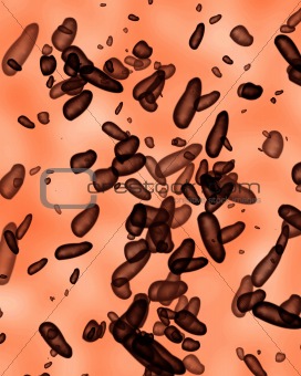 Enlarged bacteria illustration 