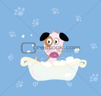 Cute dog bath