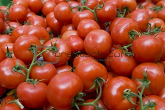 Pile of Ripe Tomatoes