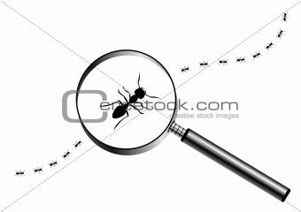 Magnifying glass with marching ants