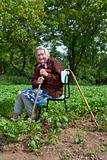 old peasant woman with a cane working in potato field