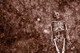 Creepy halloween skeleton