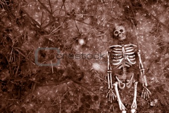 Creepy halloween skeleton