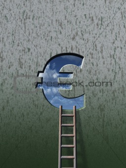 euro ladder