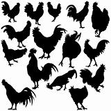 Rooster Silhouettes