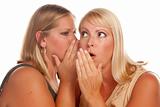 Two Blonde Woman Whispering Secrets Isolated on a White Background.