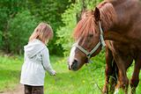 Horse and little girl.