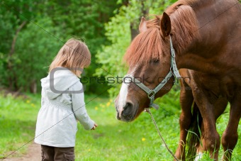Horse and little girl.
