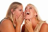 Two Blonde Woman Laughing Whispering Secrets Isolated on a White Background.