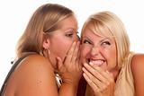 Two Blonde Woman Whispering Secrets Isolated on a White Background.