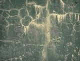 Green old dirty grunge cracked wall with dirt smudges