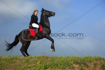 girl trains the horse
