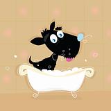 Black dog bath