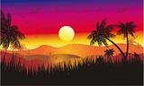 Tropical Sunset 