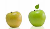 Fresh new and old apple on white background