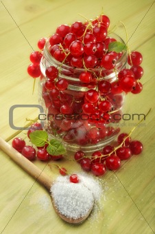 red currant and sugar