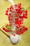 red currant and sugar