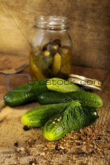 Potting gherkin