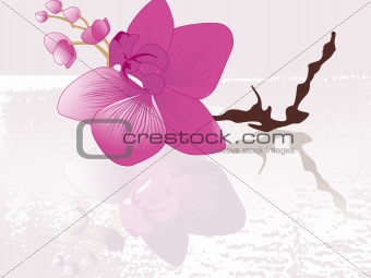abstract background with blossoms
