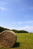 Golden Straw Hay Bales in american countryside