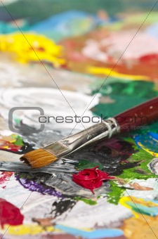 Artist's palette 