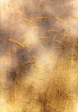 old yellow paper background with wheat