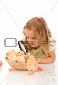 Little girl with large lens studying chicks