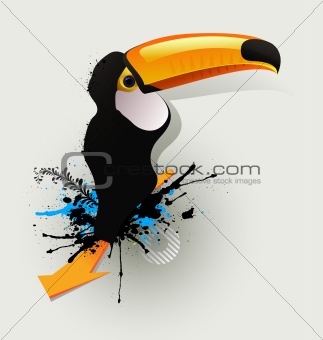 vector character graffiti drawing birds