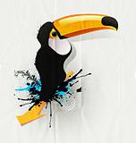 vector character grunge toucan drawing