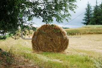 The straw bale