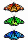 Monarch butterfly