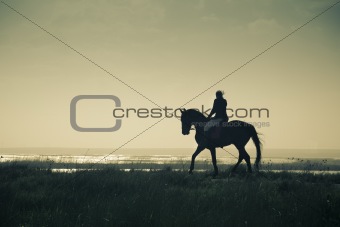 A Rider Silhouette on Horseback / split toned / retro style