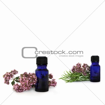Rosemary and Marjoram Herbs