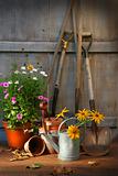 Garden shed with tools and pots 