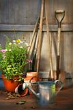 Garden tools and a pot of summer flowers in shed