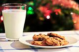 Milk and cookies for Santa