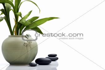 Stylish ceramic pot with bamboo leafs and stones