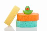 Three sponges and rubber duck
