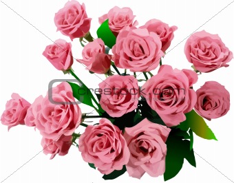 Bunch of roses. Vector illustration