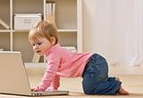 Baby Looking at Laptop