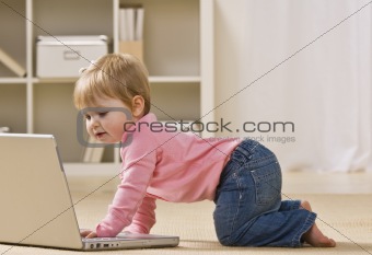 Baby Looking at Laptop