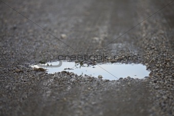 water in a puddle reflecting the sky