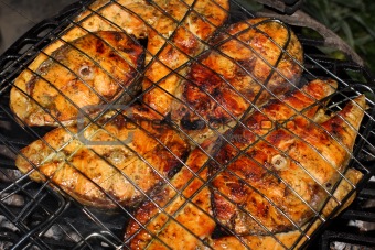 Salmon on grill