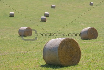 Bales of  straw, Avellaneda, Bizkaia (Spain)