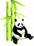 Bamboo and panda