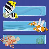 fish banners 3 no text
