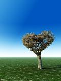 Heart Shape Tree
