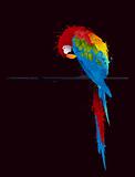 vector parrot parakeet, graffiti