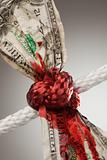 Wrinkled American Dollar Tied Up and Bleeding in Rope.