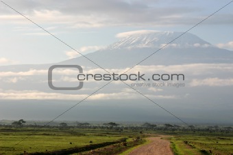 Road to Kilimanjaro